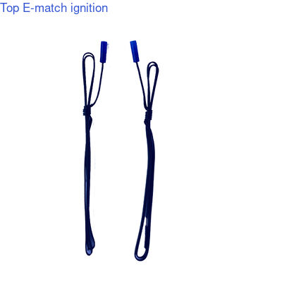 কেনা কারখানার সরাসরি সরবরাহ TOP FTB-T 4m কালো তারের নীল ক্যাপ রিমোট কন্ট্রোল বৈদ্যুতিক ইগনিটার কাস্টমাইজযোগ্য দৈর্ঘ্য উৎসব ব্যবহার online manufacture
